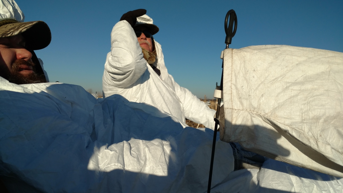 Missouri Snow Goose Hunting Photo